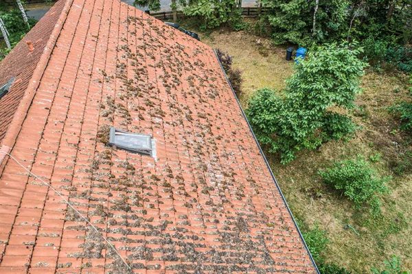 toiture avec de la mousse vue par un drone